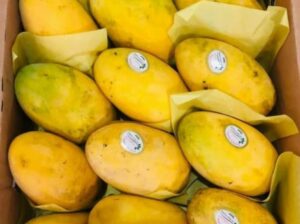 Fresh Mangoes from Pakistan