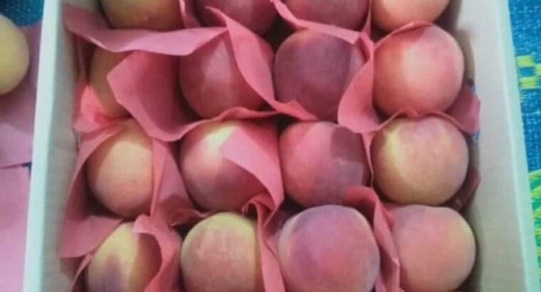 Fresh Mangoes from Pakistan